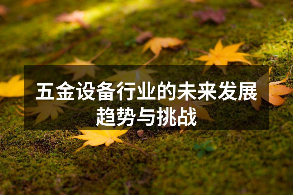 五金设备行业的未来发展趋势与挑战